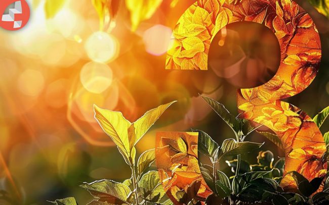 Das Sommer-Font Paket! 44 freie Schriften für Sommer, Sonne und Webseiten